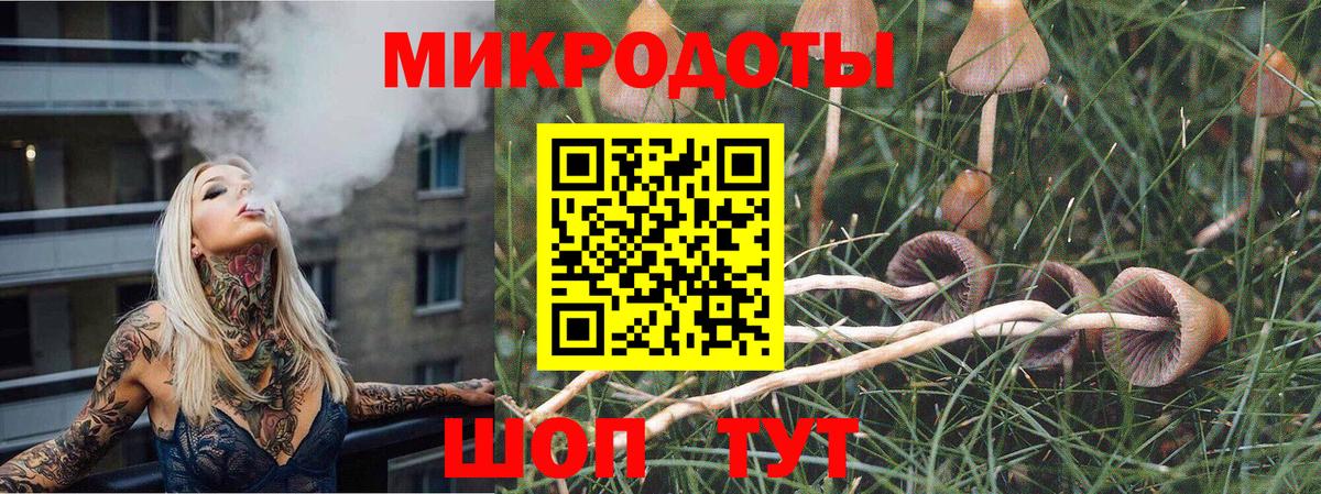 Кузнецк  Галлюциногенные грибы мухоморы  Вход с VPN  Псилоцибиновые грибы ЛСД 
